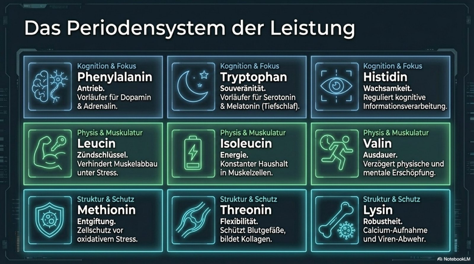 Das Periodensystem der Leistung – Die 9 essenziellen Aminosäuren: Phenylalanin, Tryptophan, Histidin, Leucin, Isoleucin, Valin, Methionin, Threonin, Lysin