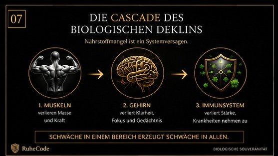 Die Kaskade des Systemversagens – Stufe 1: Physischer Verfall, Stufe 2: Kognitiver Nebel, Stufe 3: Immun-Zusammenbruch