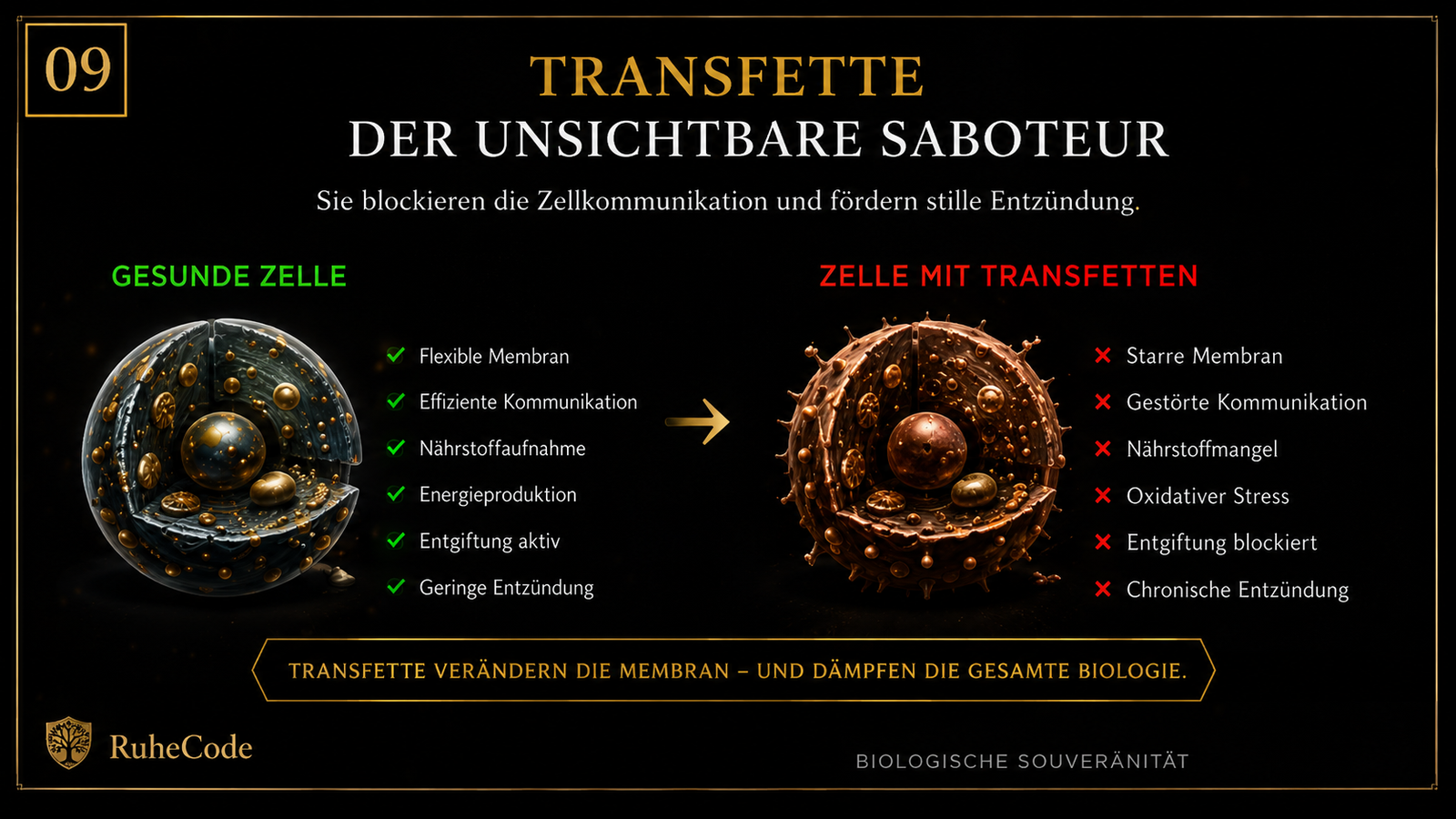 Der innere Stau: Transfette als Zellwand-Blockade – gesunde Zellstruktur vs. Transfett-Blockade, WHO-Verifiziert 0% Toleranz